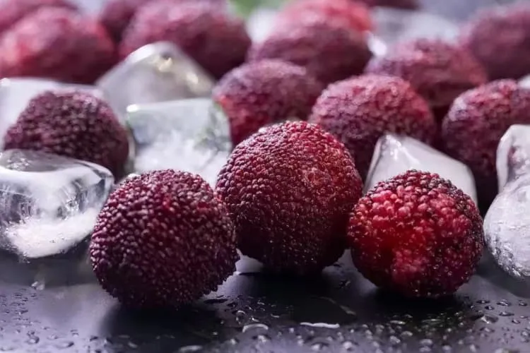 Китайский ресторан с морепродуктами «Шан Гу Чуань Шо», фото 5