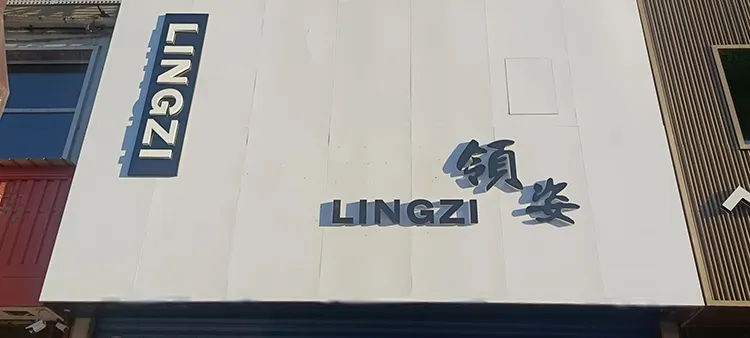 Магазин женской одежды «LINGZI», фото 1